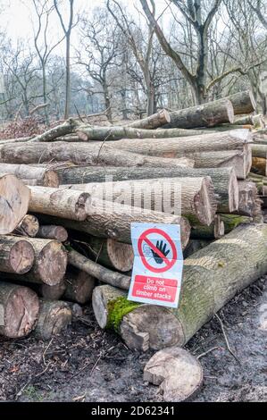 Steigen Sie nicht auf Holzstapel Zeichen auf gefällten Baumstämmen in Cobham Woods. Stockfoto