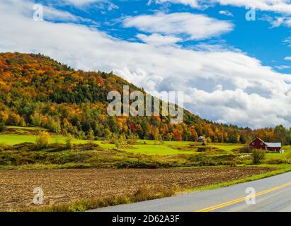 Fahren Sie auf Feldern, Bauernhöfen und Hügeln, die von Bäumen mit hellem Herbstlaub bedeckt sind Stockfoto