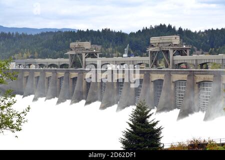 Bonneville Dam Stockfoto