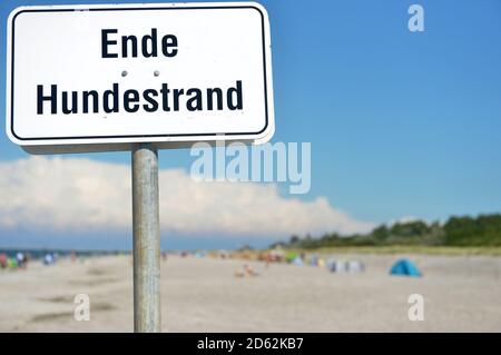 29. August 2020, Mecklenburg-Vorpommern, Darß: "End of Dog Beach" steht auf einem Schild am Ostseestrand auf der Halbinsel Darß/Fischland. Foto: Volkmar Heinz/dpa-Zentralbild/ZB Stockfoto