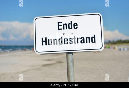 29. August 2020, Mecklenburg-Vorpommern, Darß: "End of Dog Beach" steht auf einem Schild am Ostseestrand auf der Halbinsel Darß/Fischland. Foto: Volkmar Heinz/dpa-Zentralbild/ZB Stockfoto