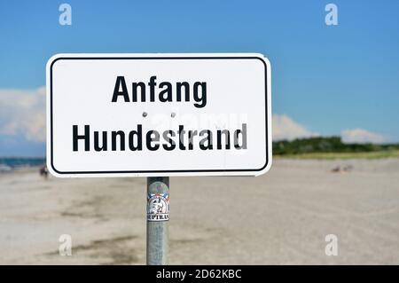 29. August 2020, Mecklenburg-Vorpommern, Darß: "Anfang Hundestrand" steht auf einem Schild am Ostseestrand auf der Halbinsel Darß/Fischland. Foto: Volkmar Heinz/dpa-Zentralbild/ZB Stockfoto