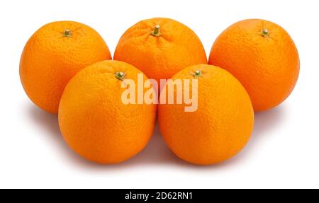 Orangefarbener Fruchtweg isoliert auf Weiß Stockfoto