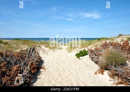 Leerer Fußweg zum Meer in Sanddünen am hellen Sommertag, natürliche Strandlandschaft Stockfoto