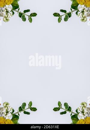 Blumen, visuelle Wirkung eines Spiegels, Raum für Texteingabe, abstrakte Tapete, voller Farben, seltsame Ornamente und Formen, Hintergrund mit schönen Geo Stockfoto