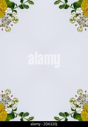 Blumen, visuelle Wirkung eines Spiegels, Raum für Texteingabe, abstrakte Tapete, voller Farben, seltsame Ornamente und Formen, Hintergrund mit schönen Geo Stockfoto