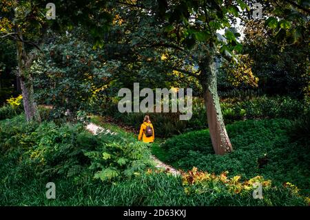 Mädchen in einem gelben Mantel beim Spaziergang durch den Westerpark in Amsterdam, Niederlande genießen die Herbstfarben Stockfoto