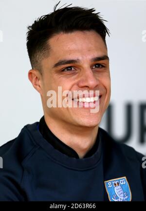 Joey Pelupessy, Sheffield Mittwoch Stockfoto