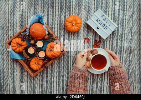 Draufsicht weibliche Hände halten Tasse Tee in der Nähe des Herbstes gemütliche Komposition mit Kürbissen, Kerzen auf Holztablett und Herbst Stimmung Nachricht auf Leuchtkasten auf Streifen Stockfoto