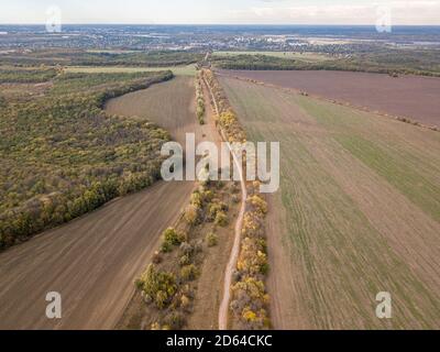 Luftbild von einem farbigen Wald im Herbst. Stockfoto