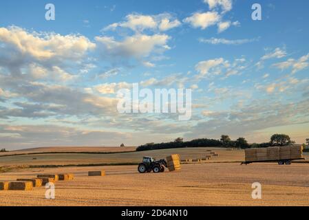 Ein Bauer sammelt hale Ballen mit einem Traktor auf seinem Bauernhof Stockfoto