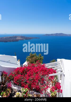 Bunte Bougainvillea Blumen mit weißen traditionellen Gebäuden und typische Kuppelkirche in Oia, Santorini, Griechenland. Hochformat Stockfoto