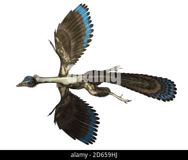 Archaeopteryx Vogel Dinosaurier fliegen - 3D Render Stockfoto
