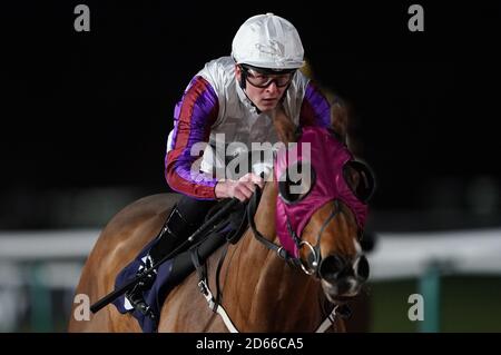 Astro Jakk, der von Clifford Lee geritten wurde, gewinnt das Rennen während des Betway Handicap (Klasse 4) auf der Southwell Racecourse Stockfoto