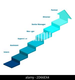 Karriere Schritt Diagramm Infografik Leiter intern Assistent Supervisor Manager Senior manager Director Partner weiß isolierter Hintergrund mit flacher Farbe Stock Vektor