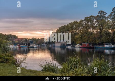 Blick über die Themse auf Boote und Hausboote, die im Herbst 2020 auf Platts Eyot Island in Hampton West London festgemacht wurden, London, England, Großbritannien Stockfoto