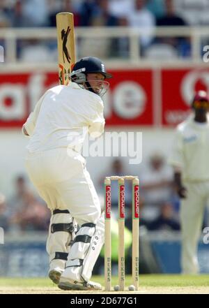 Englands Ian Bell bei seinem Testdebüt in Aktion Stockfoto