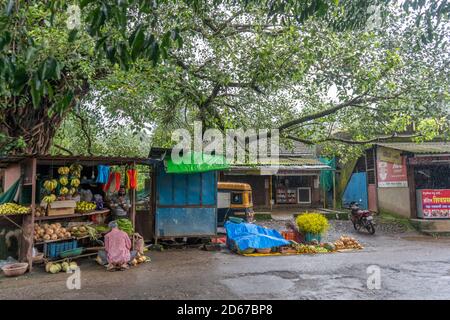 SINDHUDURG, INDIEN - 01. Okt 2020: sindhudurg lokale Obsthändler Indien Stockfoto