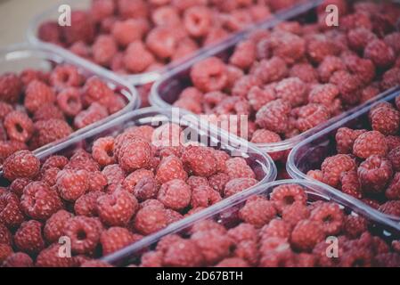Frische, rote Himbeeren in Plastikobstbehälter. Frische Himbeere in Kunststoffbox auf dem Markt, bio gesunder Hintergrund Stockfoto
