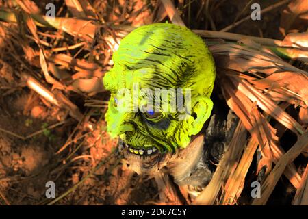 Halloween-Konzept der unheimlichen Schädel Kopf auf dem Boden Stockfoto