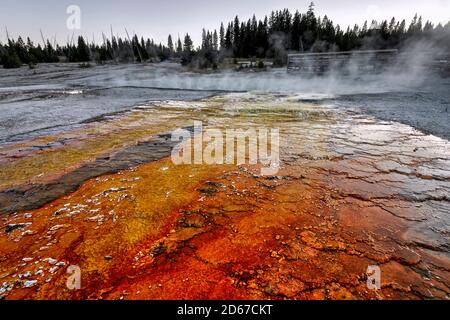 Schwarz-Pool am West Thumb Geyser Basin, Yellowstone-Nationalpark, Wyoming, USA Stockfoto