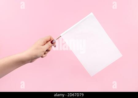 US-Wahlen, Wahlkonzept. Frau hält Flagge auf einem rosa Hintergrund. Stockfoto