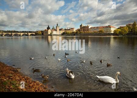 Blick über die Moldau, Moldau, Prag, Tschechische Republik Stockfoto