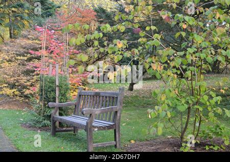 ben mehr botanischen Garten Stockfoto