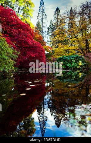 ben mehr botanischen Garten Stockfoto