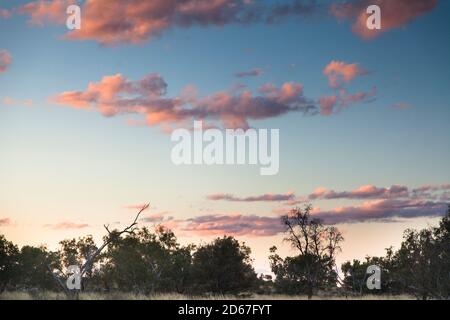 Rosa Wolkenformationen bei Sonnenuntergang, Bough Shed Hole, Bladensburg National Park, Queensland Stockfoto