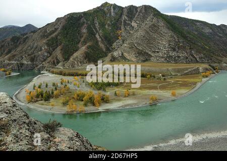 Ein schneller, turbulenter türkisfarbener Fluss fließt durch ein herbstlich von Berggipfeln umgebenes Tal. Katun, Altai, Sibirien, Russland. Stockfoto