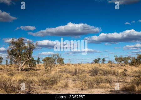 Blauer Himmel, Wolken und Spinifex in der Nähe von Bough Shed Hole, Bladensburg Nationalpark, Winton. Outback Queensland. Stockfoto