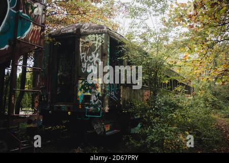Ein verlassener Zug mitten im Wald im Herbst. Stockfoto