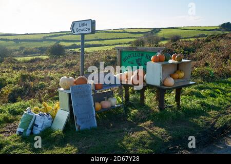 Bauernhof Straßenrand Stall Verkauf Kürbisse, in der Nähe von Madron West Cornwall Stockfoto