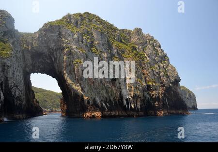 Torbogen Island, Tawhiti Rahi, Poor Knights Islands Natur Reservat, Bay of Islands, Nordinsel, Neuseeland Stockfoto