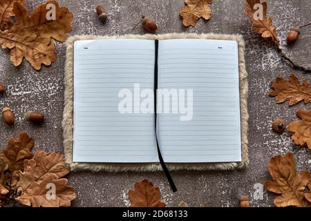 Herbstkomposition aus braunen getrockneten Blättern und Eicheln auf dunklem Betongrund. Vorlage Mockup leeres Papier Notizbuch. Herbst, halloween. Flach liegend Stockfoto