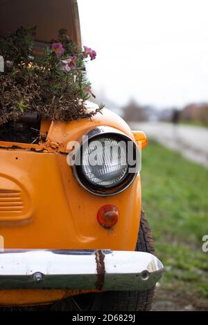 Altes gelbes Auto mit runden Scheinwerfern und offener Haube Wie eine Blume Stockfoto