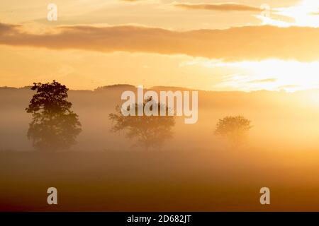 Die Sonne wirft beim Sonnenaufgang in Burscough, Lancashire, Lichtstrahlen durch den Herbstnebel. Großbritannien Wetter; 15th. Oktober 2020 Kalter, dunstiger Start in den Tag, wenn die Sonne über überfluteten Feldern von Central Lancashire aufgeht. Kredit; MediaWorldImages/AlamyLiveNews Stockfoto