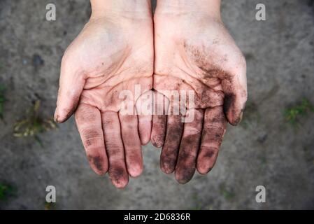 Die Hände der Frau verschmutzt in den Boden, das Thema der wachsenden Pflanzen von einem Menschen. Stockfoto