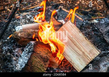 Lagerfeuer, brennendes Holz auf einem touristischen Campingplatz in England Stockfoto