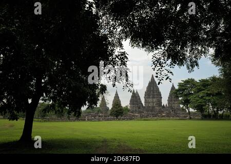 Bäume in der Nähe von Prambanan Hindu-Tempel auf Java Island, Indonesien Stockfoto