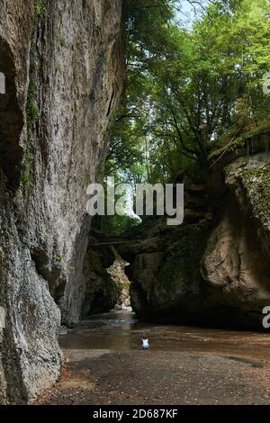 Mädchen sitzt am Ufer eines Flusses überflutet nach Regen in einer engen felsigen bewaldeten Schlucht Stockfoto