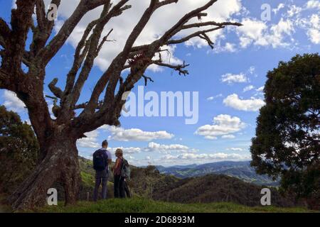 BELMIRA, KOLUMBIEN - 19. Jan 2020: Belmira, Antioquia / Kolumbien - 18 2020. Januar: Touristen neben einem großen trockenen Baum mit Blick auf die Berge auf einer Wolke Stockfoto