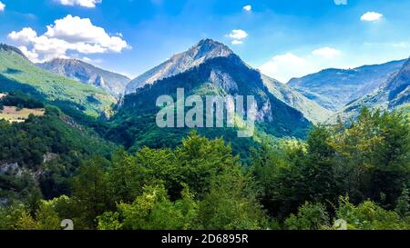 Schöne Schlucht des Flusses Tara in Montenegro. Stockfoto