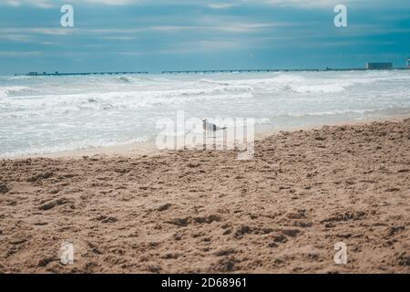 Schöne Seestück in Canet de Berenguer, Valencia Stockfoto