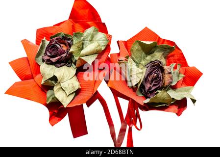 Eine verwelkte rote Rose mit einem großen roten Band, isoliert auf einem weißen Hintergrund mit einem Schnittpfad. Stockfoto