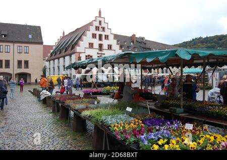 Die Altstadt und der Marktplatz in Freiburg, Deutschland Stockfoto