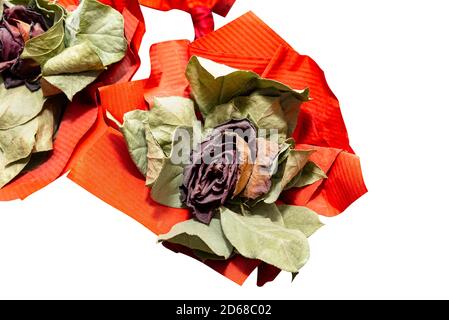 Eine verwelkte rote Rose mit einem großen roten Band, isoliert auf einem weißen Hintergrund mit einem Schnittpfad. Stockfoto