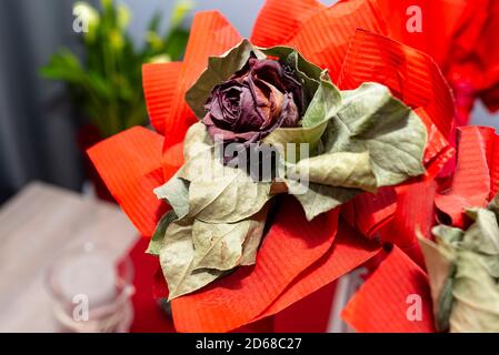 Eine verwelkte rote Rose mit einem großen roten Band, das auf einem Tisch in einer Vase steht. Stockfoto