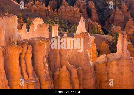 Bryce-Canyon-Nationalpark, Utah, USA Stockfoto